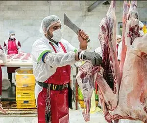 (جدول) قیمت دام زنده امروز دوشنبه 23 مهر / خراسان رضوی ناکوک می نوازد