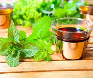 گیاه بادرنجبویه چیست؟ چه خواصی دارد؟