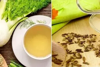 همه چیز درباره رازیانه؛ مزایا و معایب از بالا برد قوای جنسی مردان تا هضم غذا و لاغری