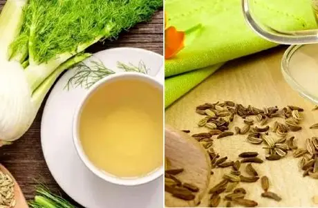 همه چیز درباره رازیانه؛ مزایا و معایب از بالا برد قوای جنسی مردان تا هضم غذا و لاغری
