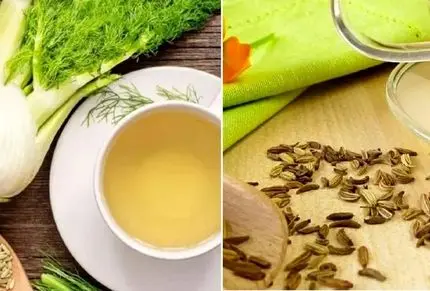 همه چیز درباره رازیانه؛ مزایا و معایب از بالا برد قوای جنسی مردان تا هضم غذا و لاغری