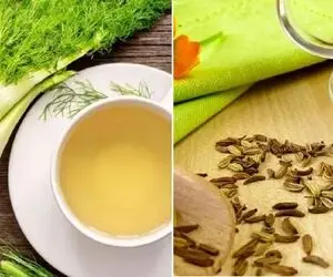 همه چیز درباره رازیانه؛ مزایا و معایب از بالا برد قوای جنسی مردان تا هضم غذا و لاغری