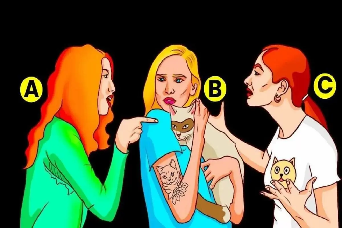 گربه