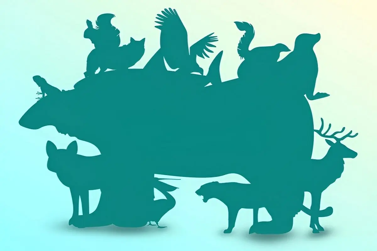 تست-هوش-تمام-حیوانات-پنهان-شده