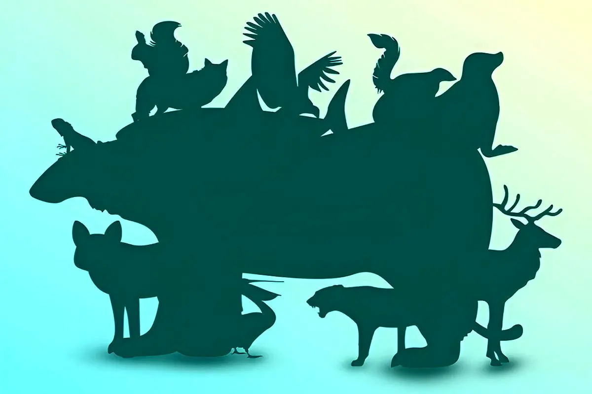 تست-هوش-تمام-حیوانات-پنهان-شده