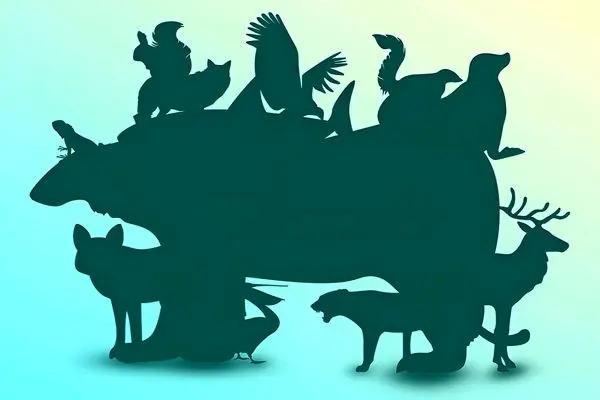 بازی فکری؛ بتونی 12 تا حیوون مخفی تصویرو پیدا کنی تا عمر داری آلزایمر نمیگیری