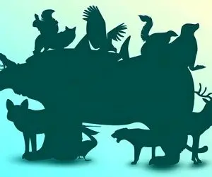 بازی فکری؛ بتونی 12 تا حیوون مخفی تصویرو پیدا کنی تا عمر داری آلزایمر نمیگیری