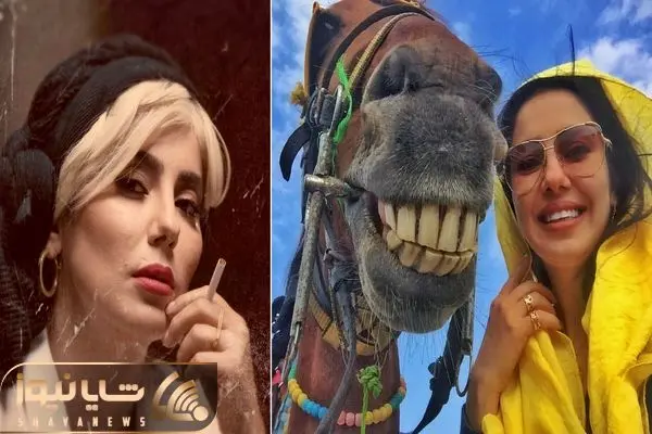 sheida yousefi shayanews