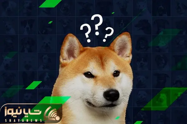 shibainu