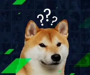 منطقه سحرآمیز شیبااینو را بشناسید!