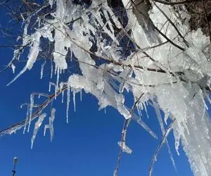 تهران امشب یخبندان می شود