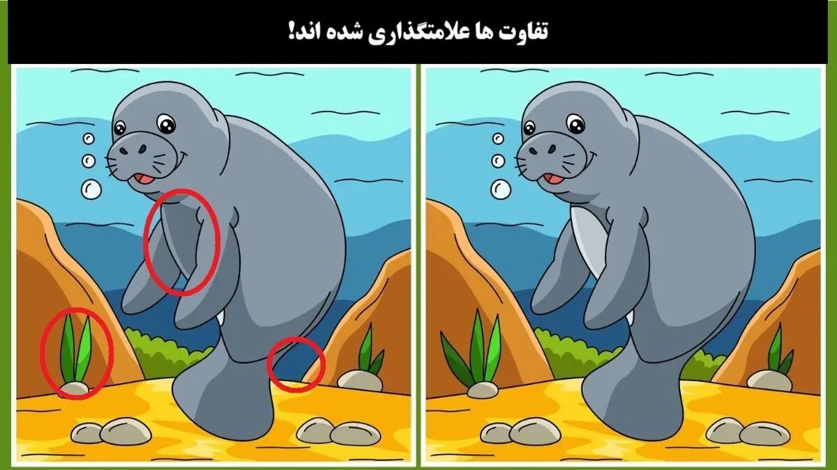 فک 2