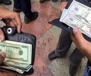 نگاهی به قیمت دلار؛ جایی که ایستاده و آنجا که می خواهد برود