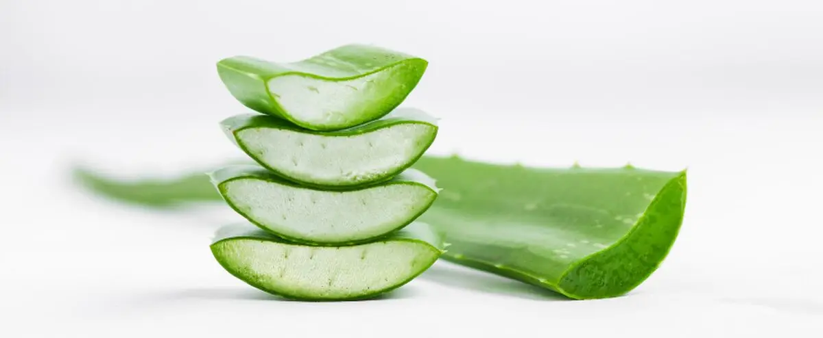 Aloe Vera Gel