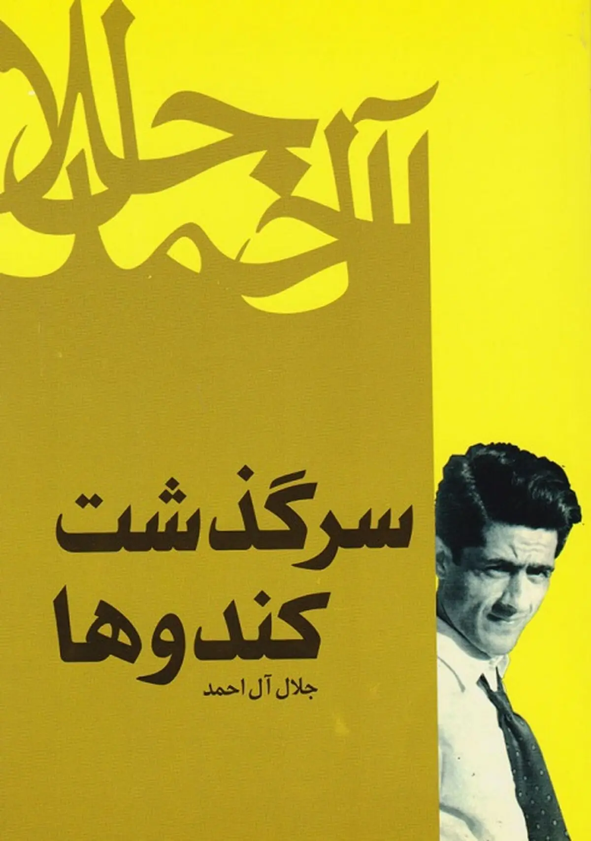 سرگذشت کندوها