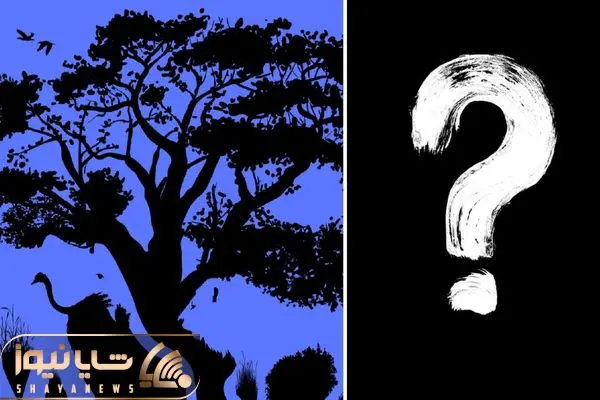 optical illusion personality test reveals the true you