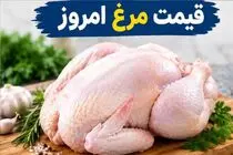 قیمت مرغ امروز شنبه 21 شهریور 1405 / مرغ ارزان شد؟