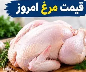 قیمت مرغ امروز شنبه 21 شهریور 1405 / مرغ ارزان شد؟