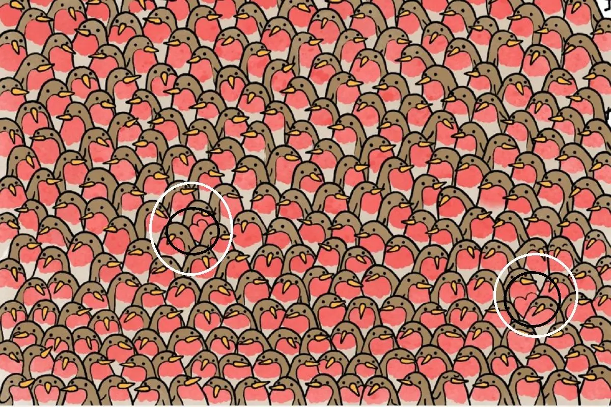 حسن