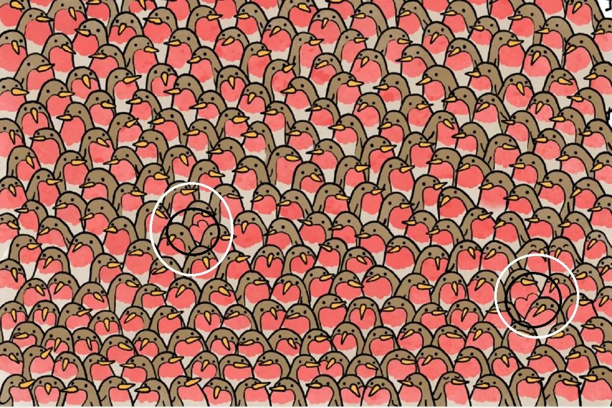 حسن