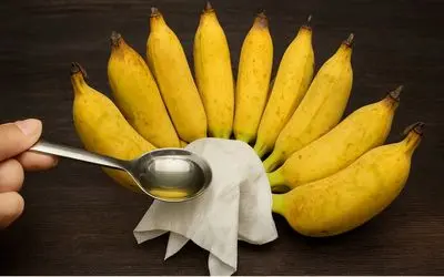 ترفند های خانگی؛ با این روش موز رو تا یک ماه تر و تازه نگه دار