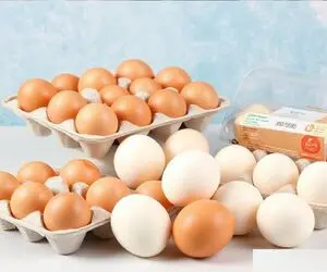 قیمت تخم مرغ امروز یکشنبه 22 شهریور 1405 / یک شانه چند؟