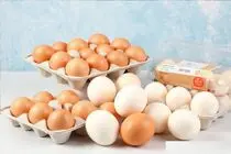قیمت تخم مرغ امروز یکشنبه 22 شهریور 1405 / یک شانه چند؟
