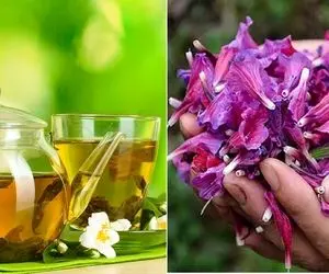 معرفی و طرز تهیه دمنوش های گیاهی آرامبخش / تجربه سبکی و آرامش با گیاهان دارویی