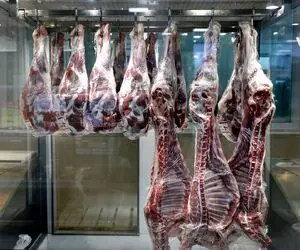 قیمت گوشت قرمز امروز ۱۹ اردیبهشت ۱۴۰۵ + جدول