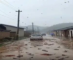 معماری طبیعت؛ بارش ماهی و هشت پا از آسمان در مناطق استوایی