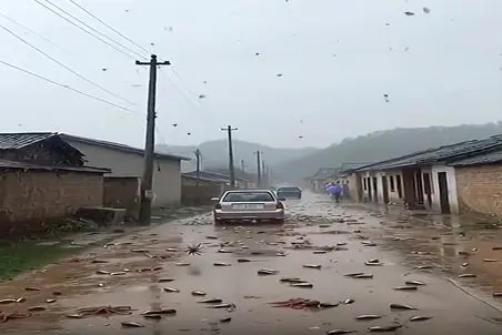 معماری طبیعت؛ بارش ماهی و هشت پا از آسمان در مناطق استوایی