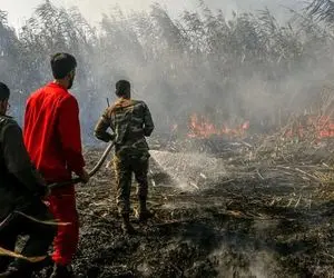 ۶ هکتار از اراضی تالاب انزلی در آتش + علت