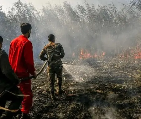 ۶ هکتار از اراضی تالاب انزلی در آتش + علت