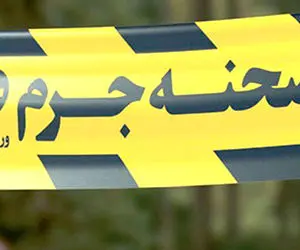 ماجرای قتل علیرضا محمدی؛ چه کسی وکیل تهرانی را به قتل رساند؟