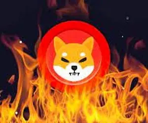 آتش بازی جنجال برانگیزشیبااینو!