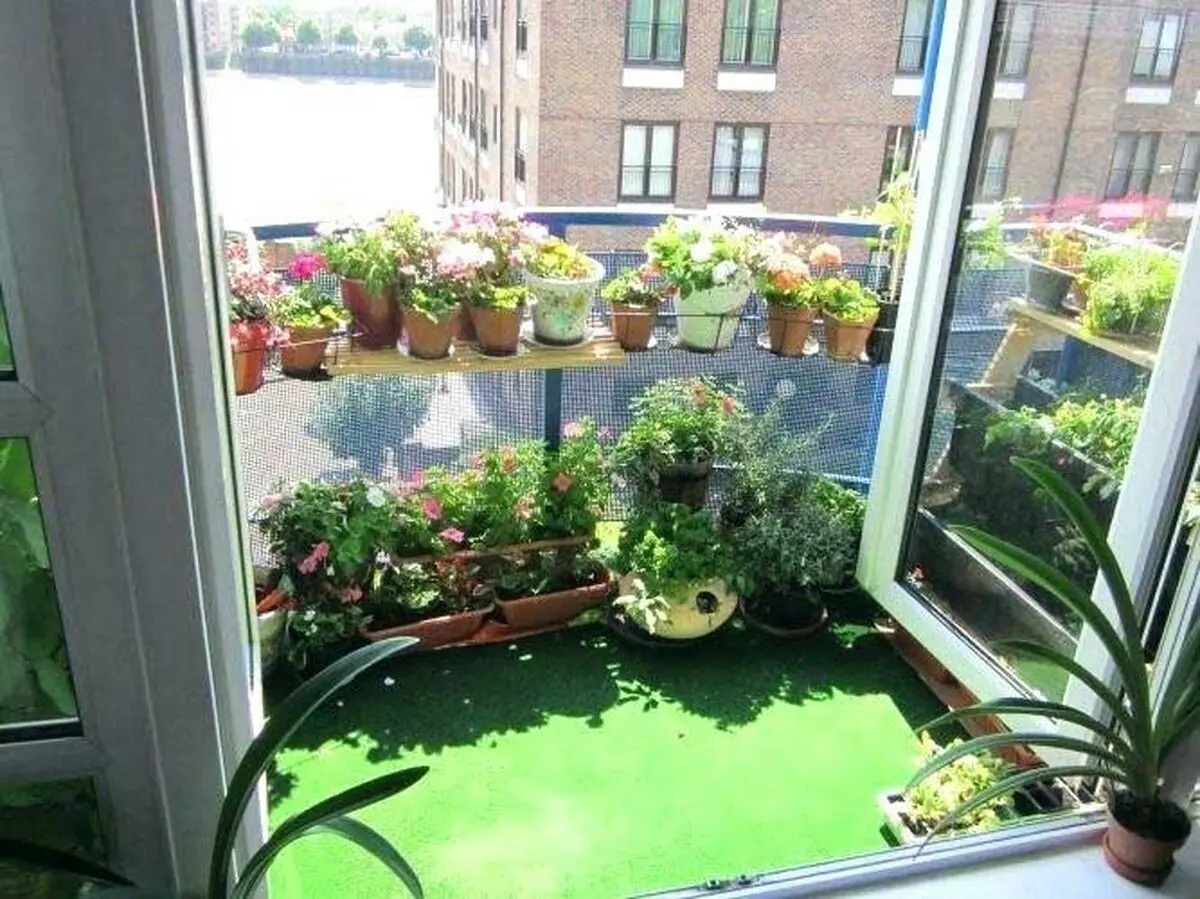 Terrace-Design3