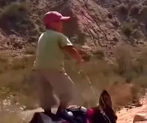 آواز محلی؛ پسر عشایر رو الاغ وایساده با آهنگ ناری ناری چه هنرنمایی دست گرم کنی میره