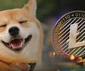 چرامراقب لایت کوین شیبااینو و... باشیم؟