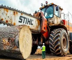 ابزارآلات غول پیکر؛ مهارت های اپراتور بیل مکانیکی در برش درخت پس از تبدیل شدن به اره