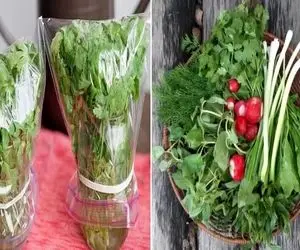 ترفند تازه نگه داشتن سبزی خوردن / با این روش تا یک هفته سبزی تر و تازه بیار سر سفره