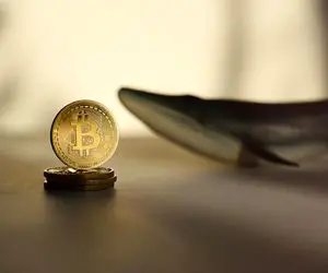 ماجرای جابجا شدن 500 بیت کوین در هفته های اخیر چیست؟