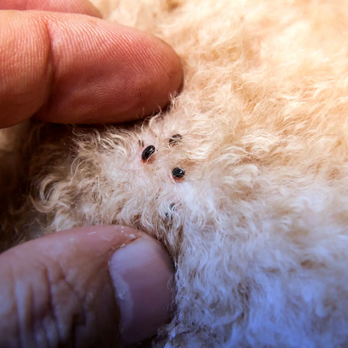 3b513d5d58d34577aa0d6aff2786fd98