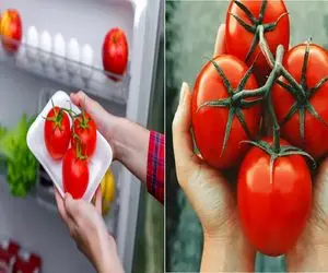 نگهداری گوجه در یخچال برای تازه ماندن طولانی‌ تر/ نکاتی که هر خانه‌داری باید بداند