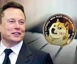 ایلان ماسک بخاطر دوج کوین رسما رسوا شد؟!