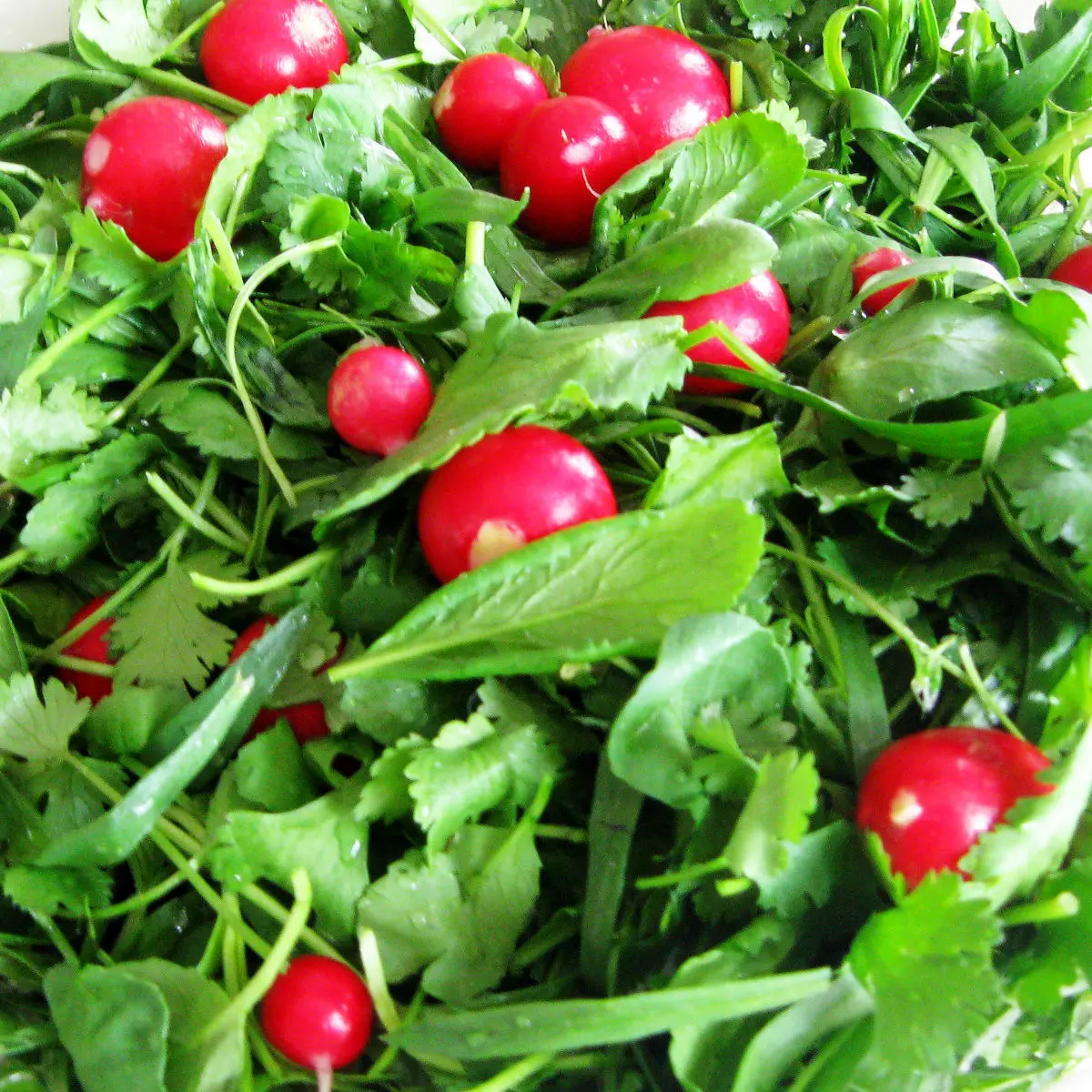 سبزی4
