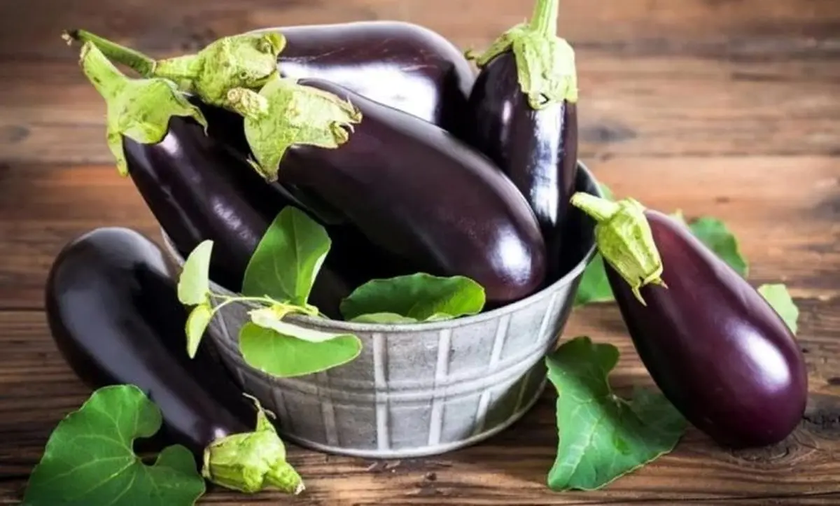 تشخیص-بادمجان-شیرین-از-تلخ-3-780x470
