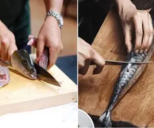 سیر تا پیاز تمیز کردن ماهی بی دردسر/ بدون اینکه کل خونرو بو برداره ماهی رو تمیز کن