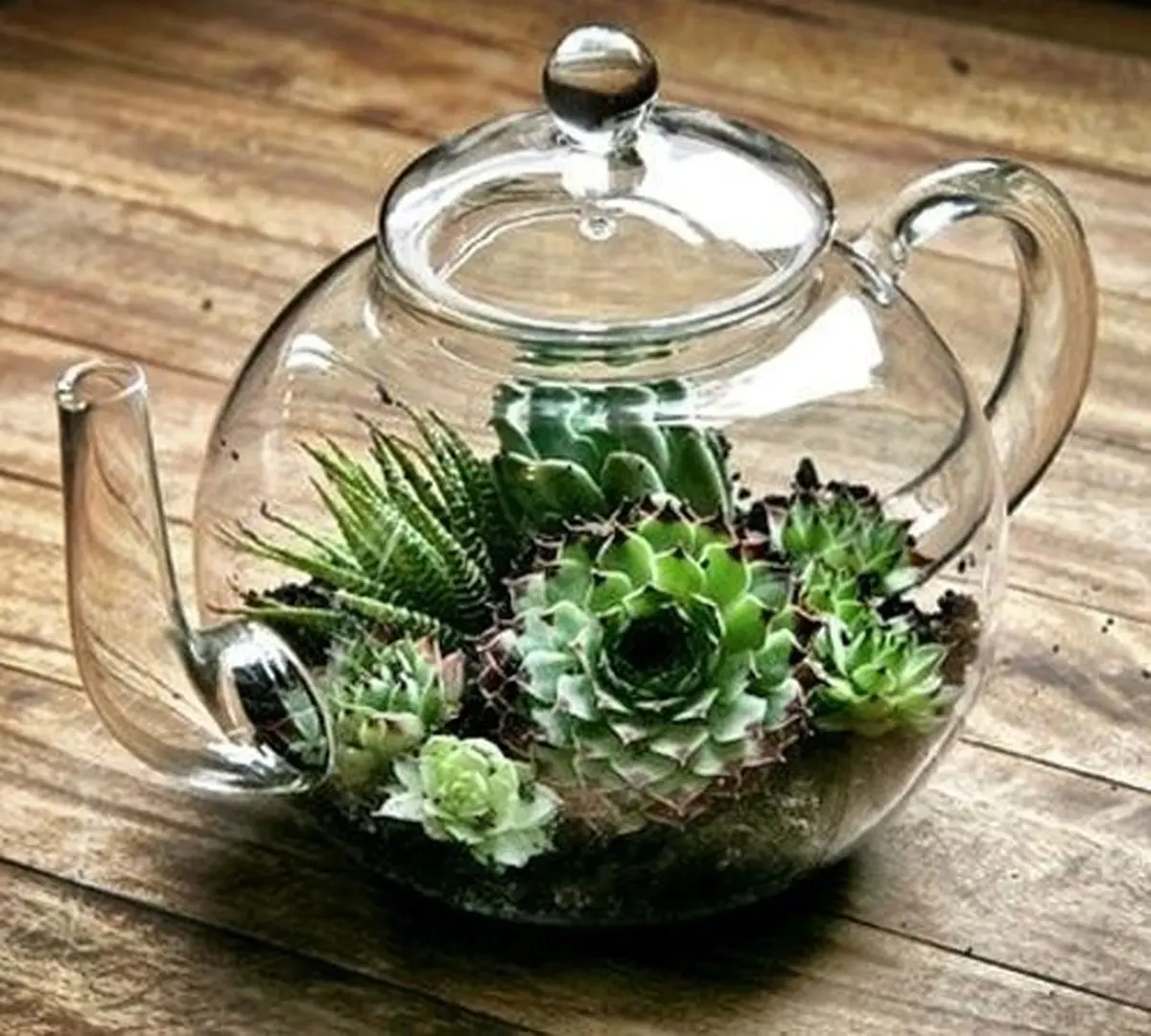 diy-teapot-planters-2