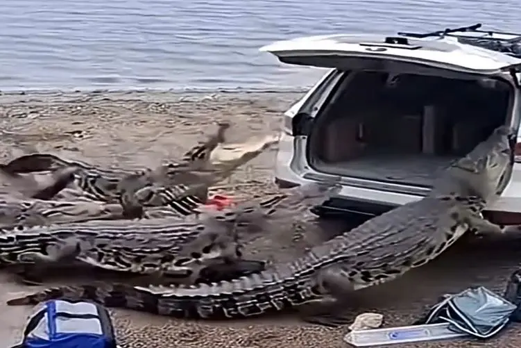 معماری طبیعت؛ جایزه ی بدشانس ترین آدم قرن میرسه به خانوم راننده خیلی مسخره مرد