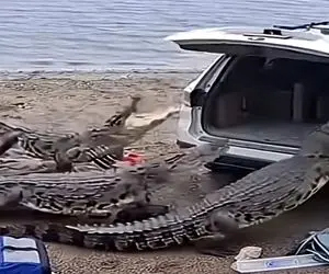 معماری طبیعت؛ جایزه ی بدشانس ترین آدم قرن میرسه به خانوم راننده خیلی مسخره مرد